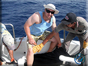 Marlin fishing cabos, Ursulas Fishing Fleets, Ursulas Fishing, Marlin fishing Cabo San Lucas, fishing chartes cabo